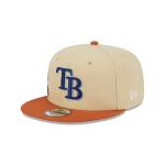 GORRA NEW ERA CAP TAMPA BAY RAYS MLB FALL LANDSCAPE 9FIFTY SNAPBACK en STOCK