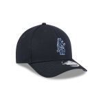 GORRA NEW ERA CAP CHICAGO CUBS MLB CLUBHOUSE 2025 ALTERNATIVA 9FORTY M-CROWN SNAPBACK en STOCK