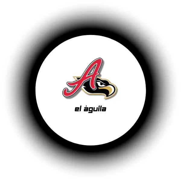 gorras-new-era-hype-equipo-besibol-caps-19.webp