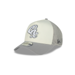 GORRA NEW ERA CAP GUERREROS DE OAXACA LMB ATHLEISURE 9FORTY AF TRUCKER SNAPBACK en STOCK