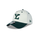 GORRA NEW ERA CAP LEONES DE YUCATáN LMB GAME CAP CHROME WHITE 39THIRTY ELáSTICA en STOCK