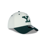 GORRA NEW ERA CAP LEONES DE YUCATáN LMB GAME CAP CHROME WHITE 39THIRTY ELáSTICA en STOCK