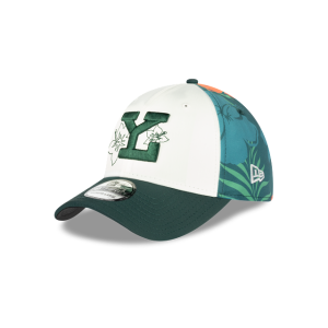GORRA NEW ERA CAP LEONES DE YUCATáN LMB TROPICAL 39THIRTY ELáSTICA en STOCK