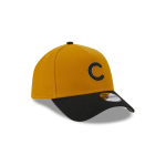GORRA NEW ERA CAP CHICAGO CUBS MLB RUSTIC FALL 9FORTY AF SNAPBACK en STOCK