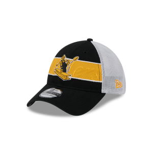 GORRA NEW ERA CAP PITTSBURGH STEELERS NFL BANDED TEAM 39THIRTY ELáSTICA en STOCK