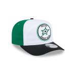 GORRA NEW ERA CAP DALLAS STARS NHL VINTAGE GOLFER SNAPBACK en STOCK