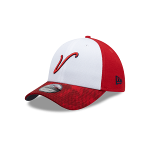 GORRA NEW ERA CAP EL ÁGUILA DE VERACRUZ VISOR GRAPHIC LMB FANGEAR 9FORTY SNAPBACK en STOCK