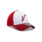 GORRA NEW ERA CAP EL ÁGUILA DE VERACRUZ VISOR GRAPHIC LMB FANGEAR 9FORTY SNAPBACK en STOCK